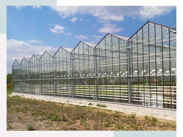 Строительство теплиц в Городец от 607 руб. за м²