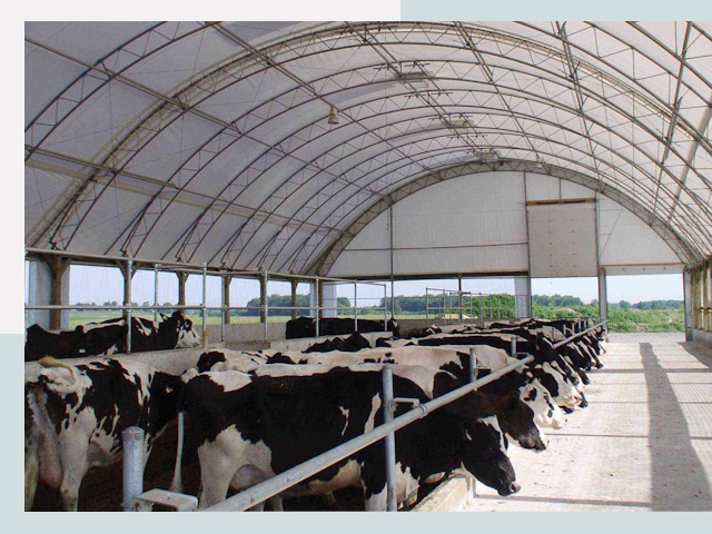 Тентовые коровники в Городце